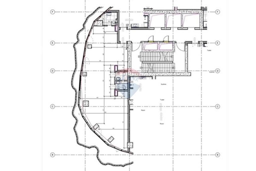 AMBIENT PER ZYRA TEK TIRANA'S ROCK