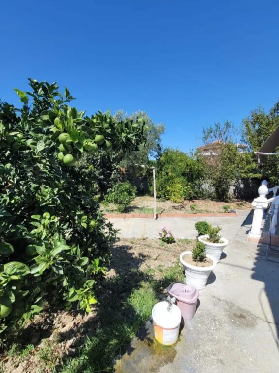 ✨🏡 Casa privata in vendita in una zona tranquilla, allo stesso tempo con accesso alle migliori zone di Kavaje🌿