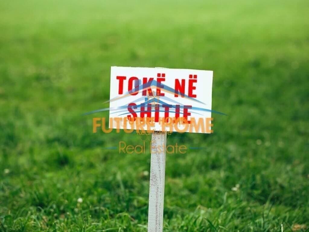Shitet, Tokë, Rinas.