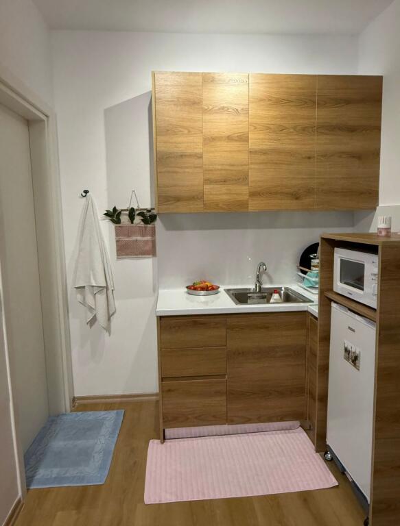 STUDIO APARTMENT FOR RENT 35M2 35000 LEKE FUSHA E AVIACIONIT