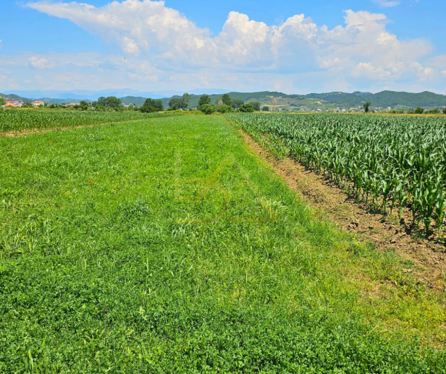 Land for Sale – Hamallaj, Durrës