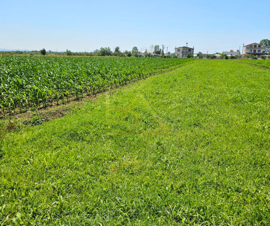 Land for Sale – Hamallaj, Durrës