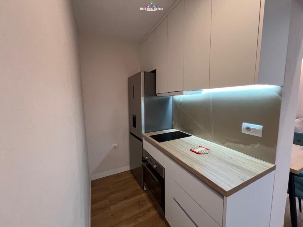 Appartamento in affitto 1+1 a Mine Peza (ID B211339) Tirana