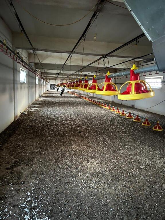 POULTRY BUILDING FOR SALE OR RENT IN POGRADEC