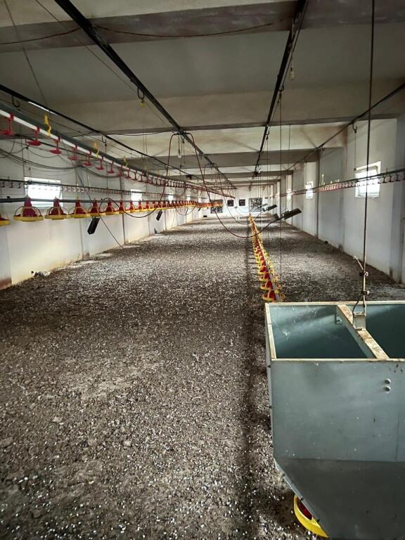 POULTRY BUILDING FOR SALE OR RENT IN POGRADEC