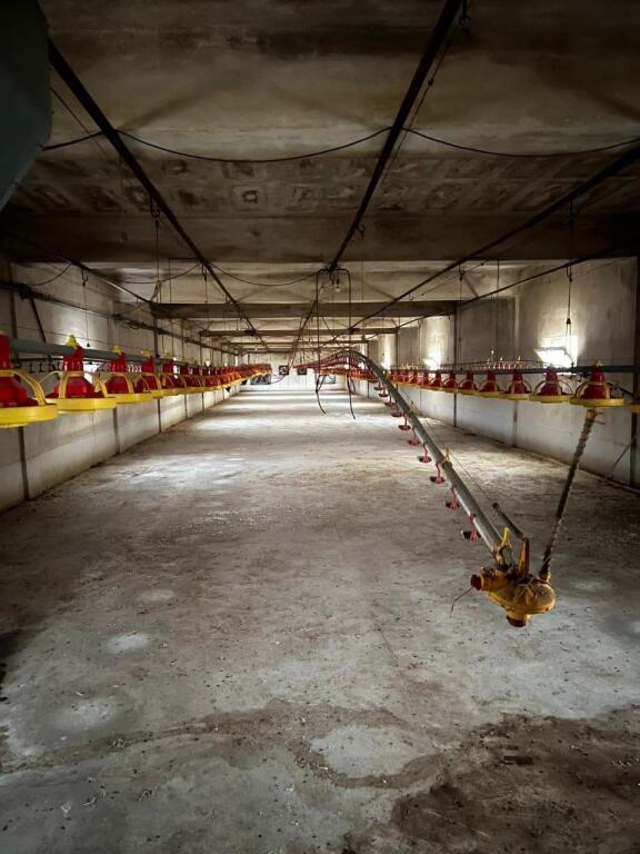 POULTRY BUILDING FOR SALE OR RENT IN POGRADEC