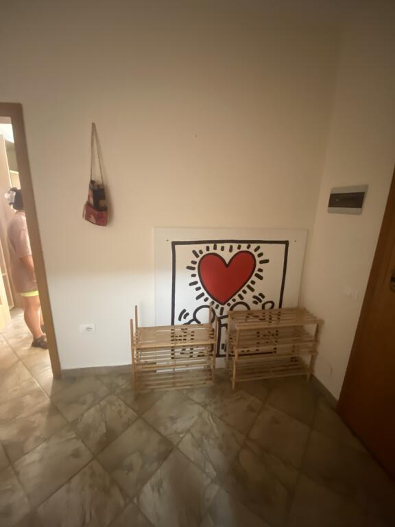 1+1,arredato,strada di Kavaja vicino alla chiesa cattolica,prezzo 500 euro