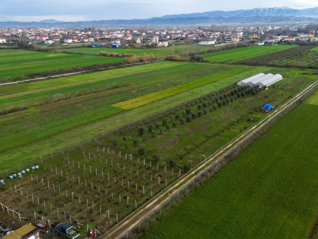 Farm for Agrotourism for Sale – 19,000 m² – Katund i Ri, Sallmone
