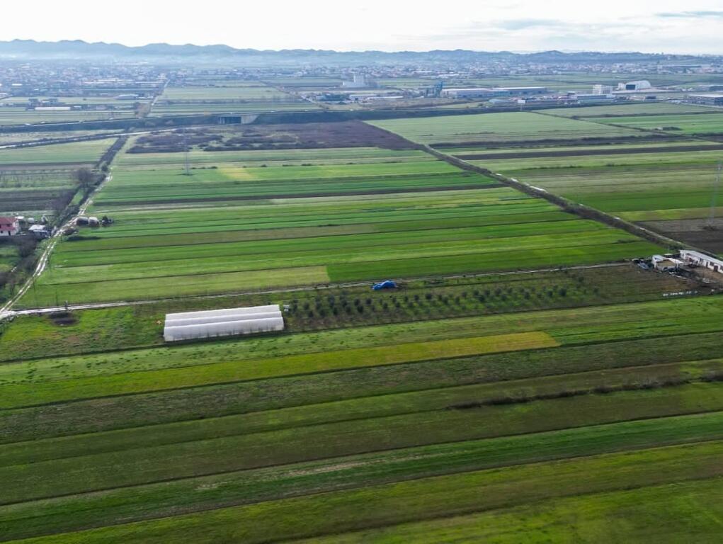 Farm for Agrotourism for Sale – 19,000 m² – Katund i Ri, Sallmone