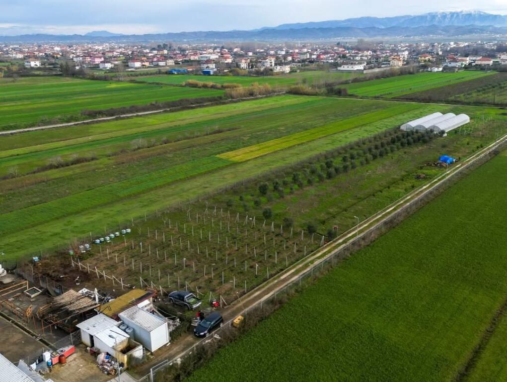 Farm for Agrotourism for Sale – 19,000 m² – Katund i Ri, Sallmone
