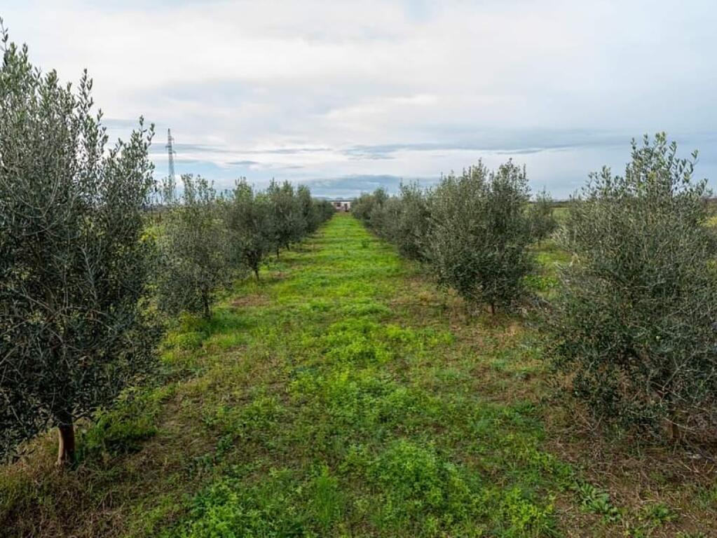 Farm for Agrotourism for Sale – 19,000 m² – Katund i Ri, Sallmone