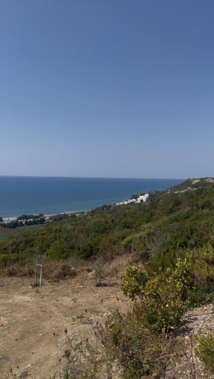 Land for sale on the Coast, Spille