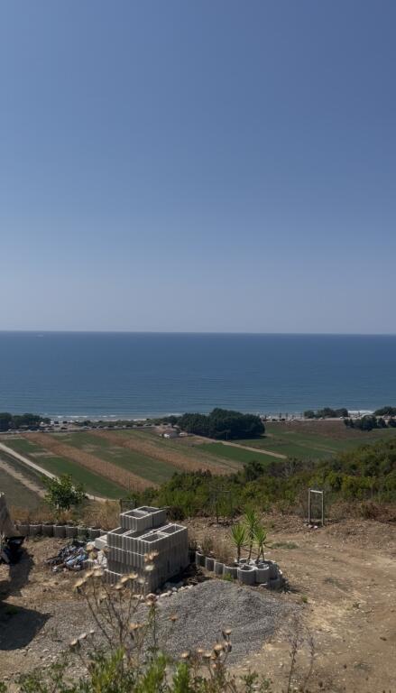 Land for sale on the Coast, Spille