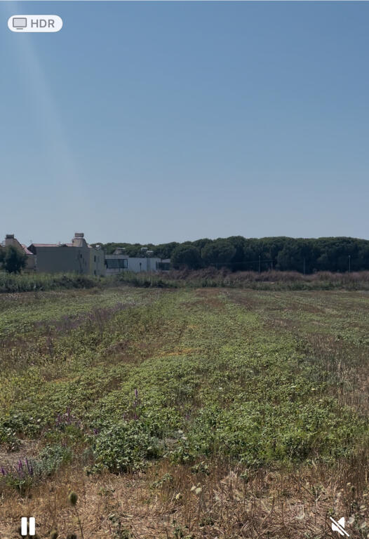 Land for sale on the Coast, Spille