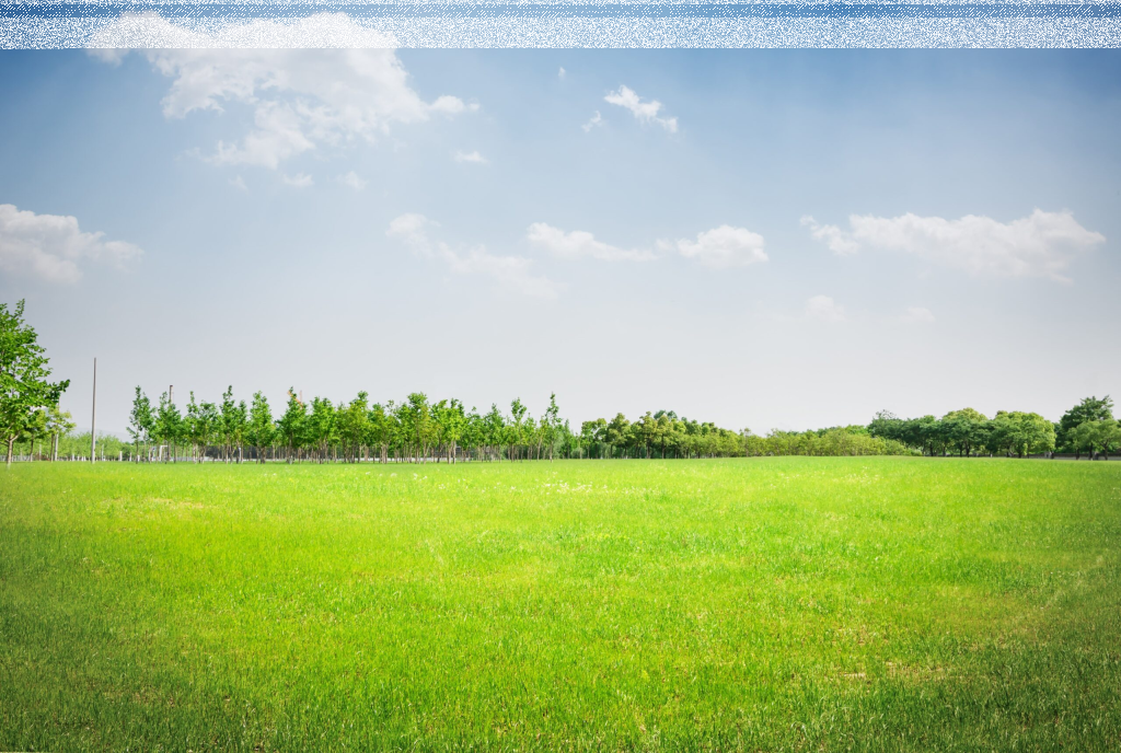 LAND FOR SALE IN PRUSH (KOMBINAT) 