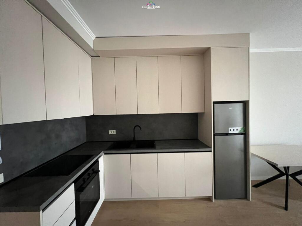 Apartament Me Qera 1+1 tek Mine Peza (ID B2101285) Tirane