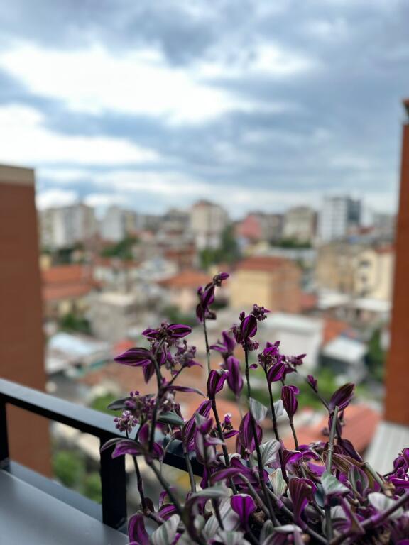 Ne Myslym Shyr Jepet Me Qira Apartament 1+1 Me Mobilim Modern! 850€/muaj Qira