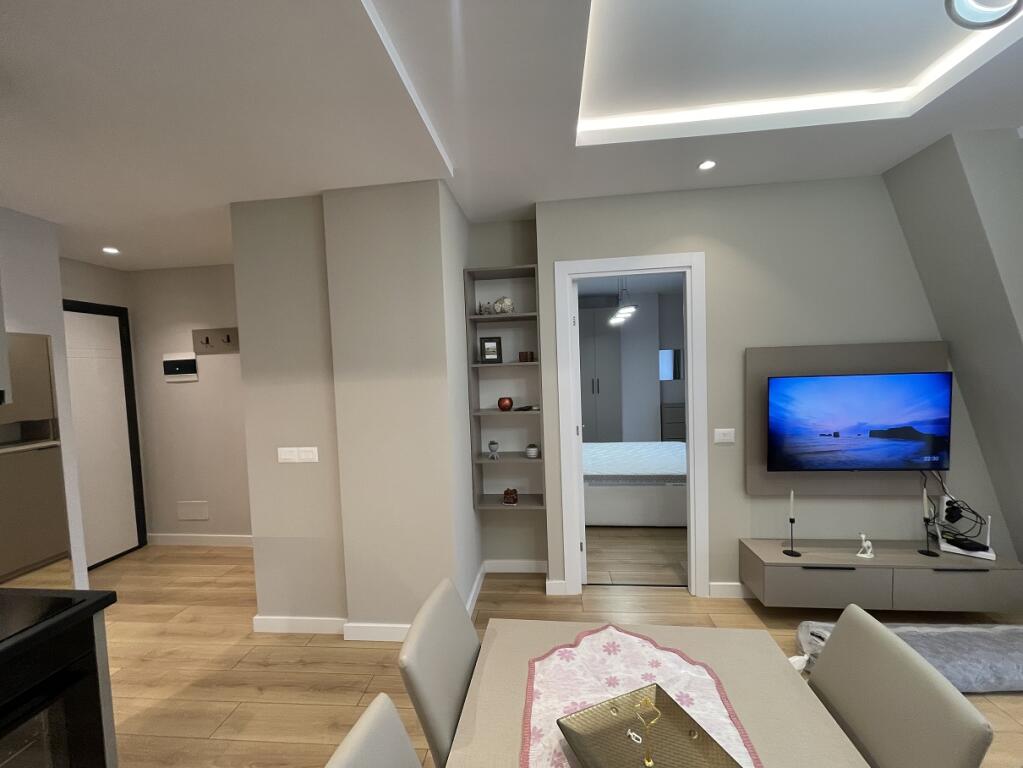 Apartment 1+1 for RENT at Former Hotel "Diplomat", "Vasil Shanto" Area