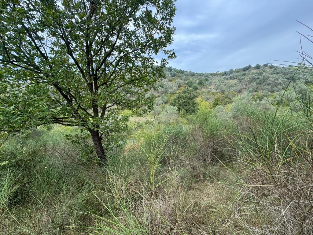 2x Plots for sale opposite CityPark