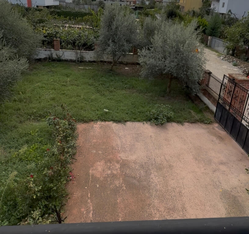 Shitet vile ne sauk