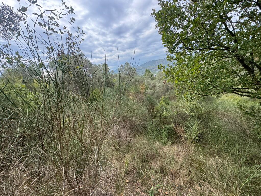 2x Plots for sale opposite CityPark