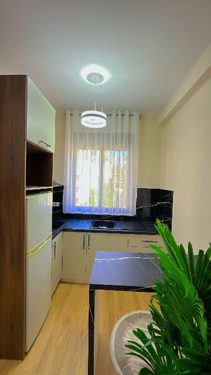 vendo appartamento 1+1 con terrazza 60 metri a Shkëmbi i Kavajës .
