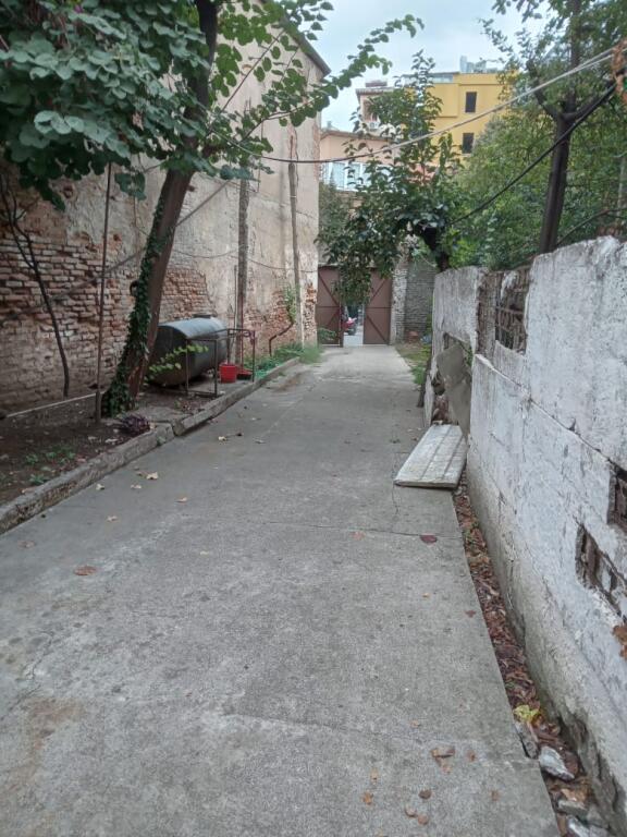 Villa in affitto a Selvia