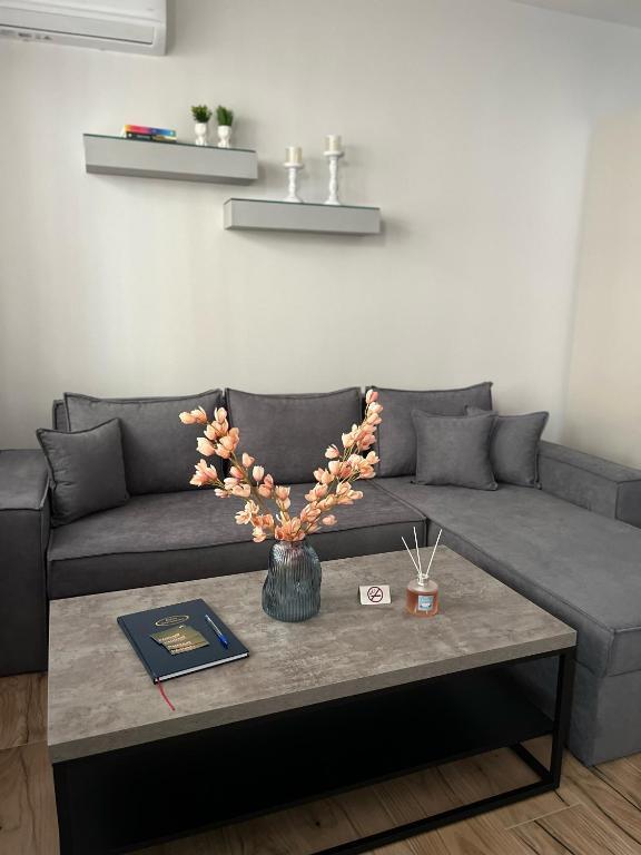 Apartament Me Qera 1+1 tek Kompleksi Delijorgji (ID B210882) Tirane.