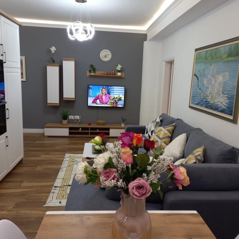 1+1, modernly furnished, petro nini luarasi, price 800 thousand leke