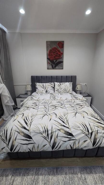 APARTAMENT ME QERA 2+1 ISH PARKU 800 EURO