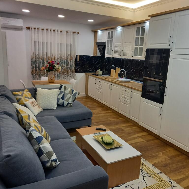 1+1, modernly furnished, petro nini luarasi, price 800 thousand leke