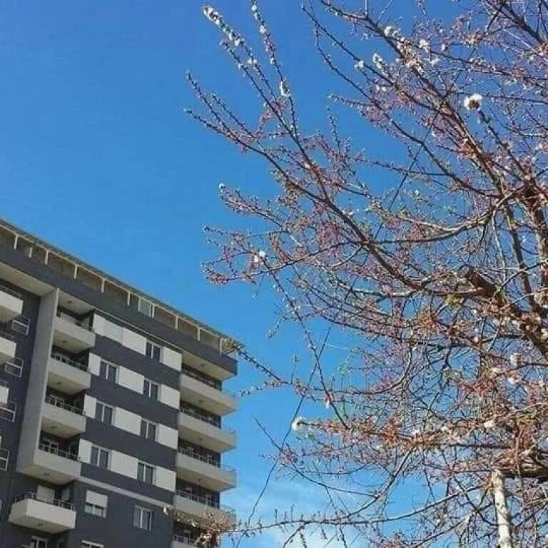 Appartamento in affitto 1+1, Vlore