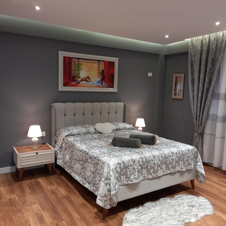 1+1, modernly furnished, petro nini luarasi, price 800 thousand leke