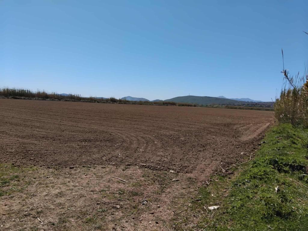 Agricultural land for sale