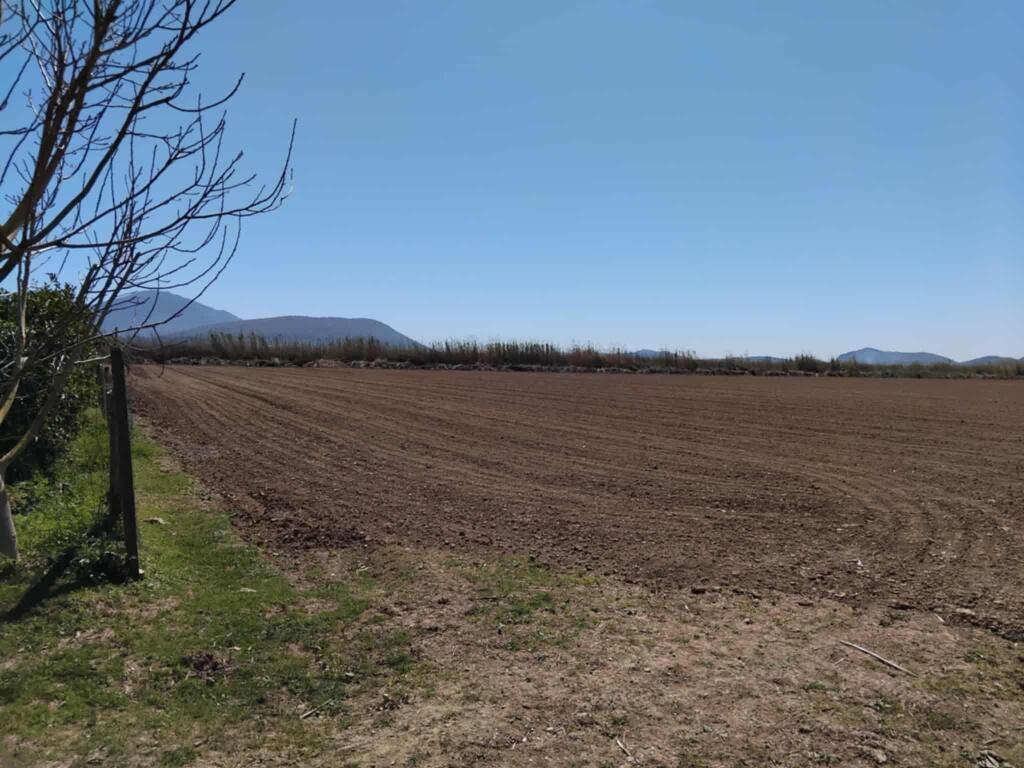 Agricultural land for sale