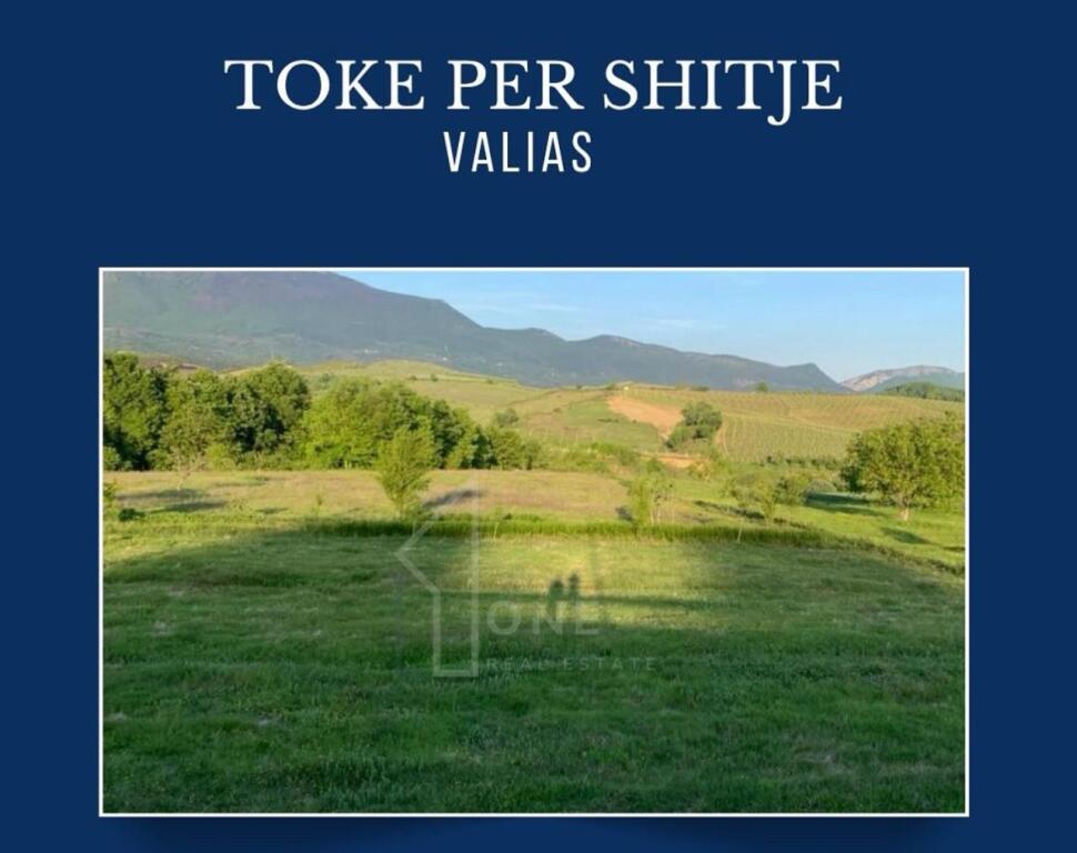 Land for sale in Valias