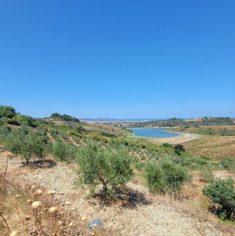 🔥Opportunity🔥 🌿Olive grove for sale in Momel, hillside with view of the lake &amp; sea 🌊(near the agritourism in the hill)

