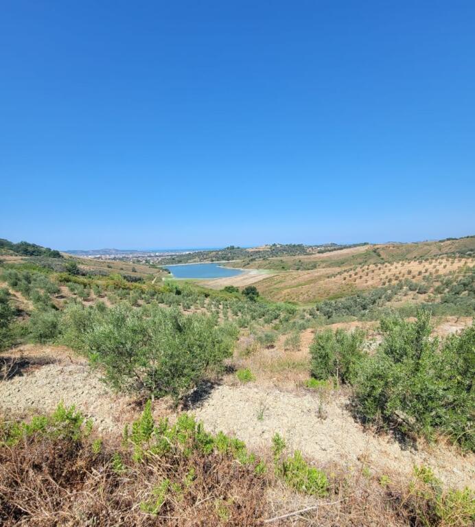 🔥Opportunity🔥 🌿Olive grove for sale in Momel, hillside with view of the lake &amp; sea 🌊(near the agritourism in the hill)
