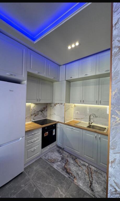 APARTMENT FOR RENT 1+1