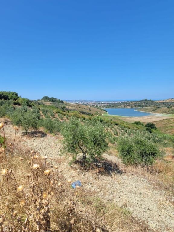 🔥Opportunity🔥 🌿Olive grove for sale in Momel, hillside with view of the lake &amp; sea 🌊(near the agritourism in the hill)
