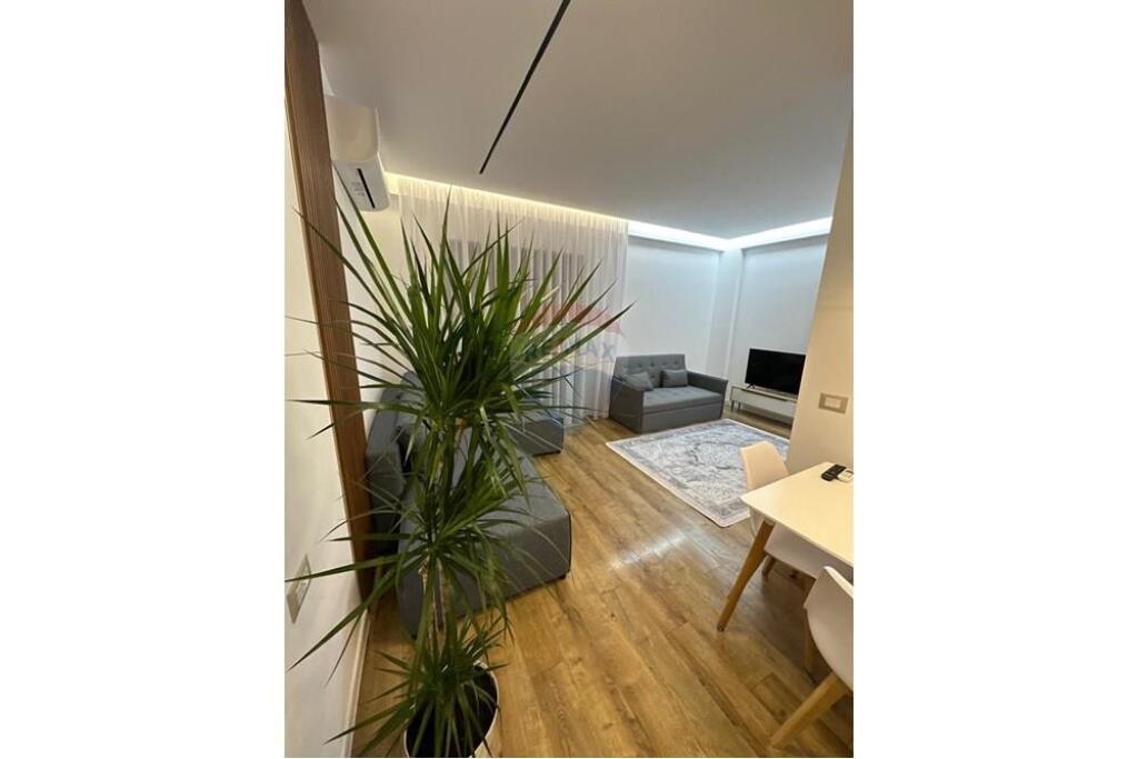 Apartment 1+1- For Rent - Liqeni i Thatë Street, Tirana