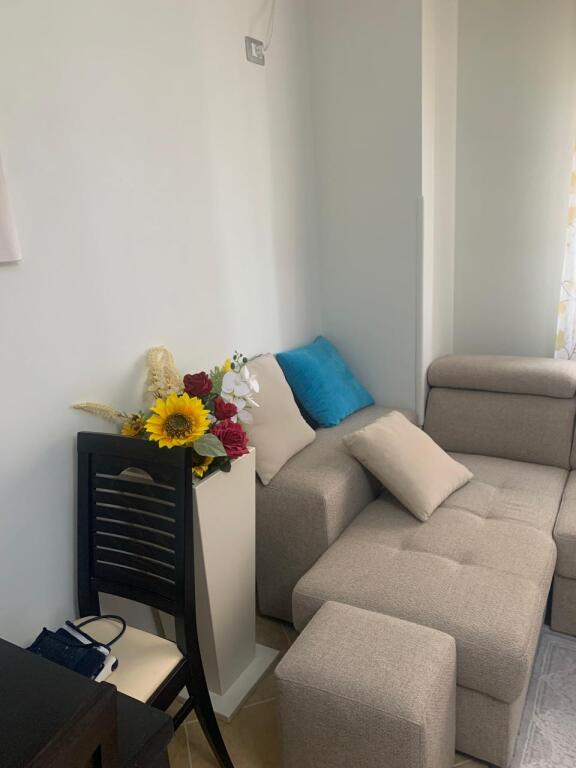 Apartment 1÷1 me qera