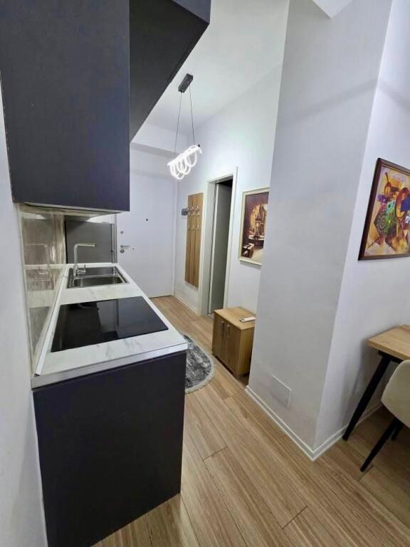 Apartment 1+1 for rent, Ali Demi