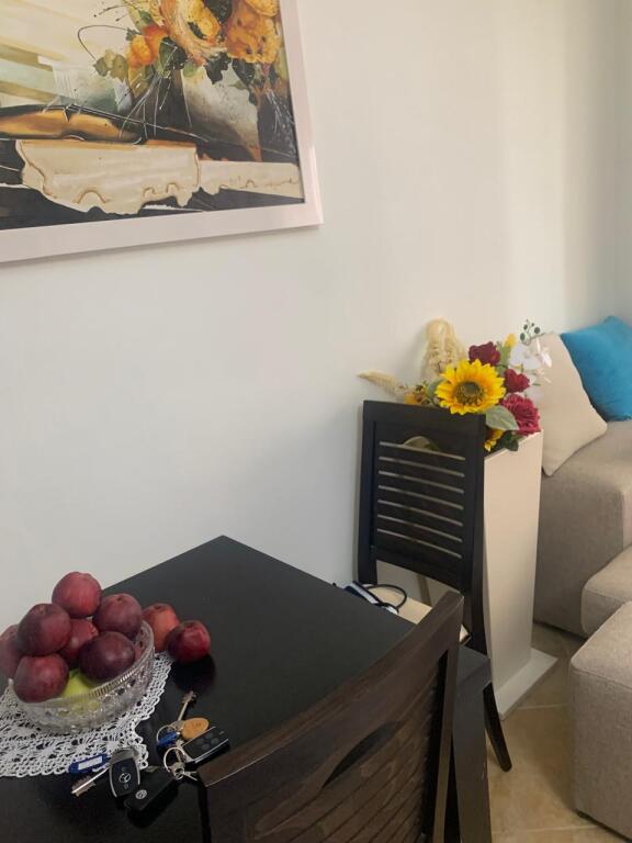 Apartment 1÷1 me qera