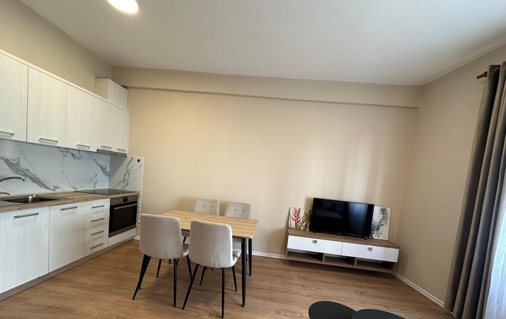 APARTMENT FOR RENT 1+1 21 DECEMBER 600 EURO