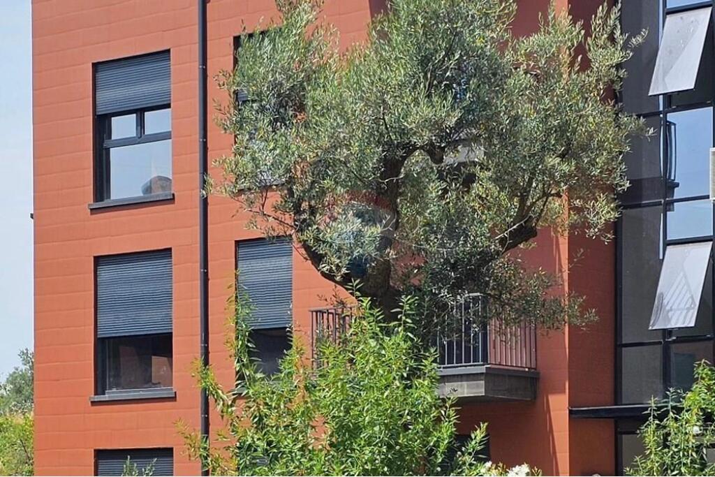 TEG, Tirana, Appartamento in Vendita