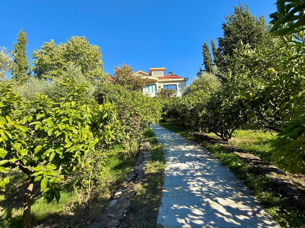 Modern villa for rent near Farka Lake