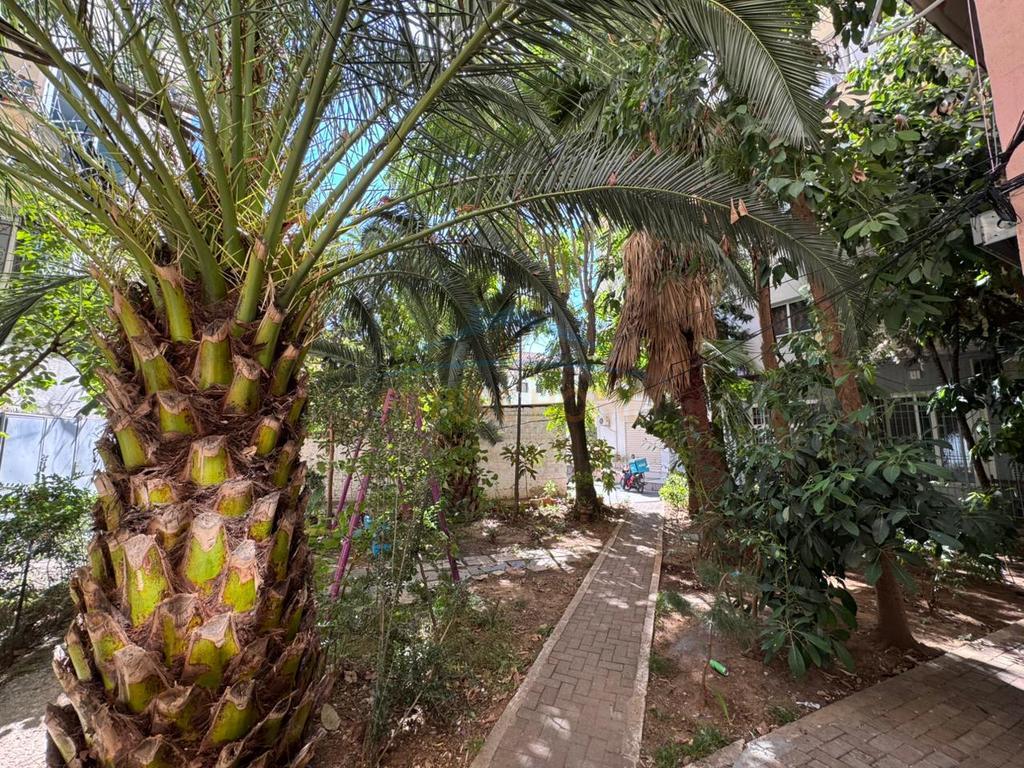 Rent, Apartment 2+1, Brryli, Tirana.