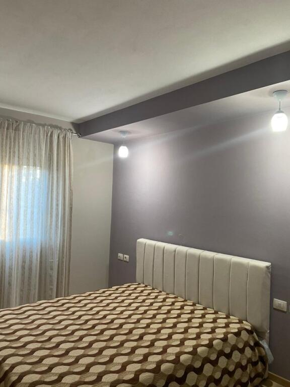 Jepet me qera apartament 1+1, Ali Demi