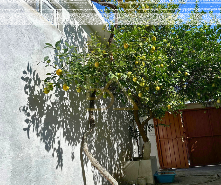 Affittasi villa tradizionale a Scutari